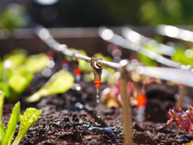 Kapková závlaha: Efektivní řešení pro vaši zahradu